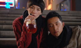 野鸽子电视剧,都市爱情与梦想的交织