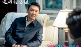 省委书记电视剧,权力与担当的抉择之路